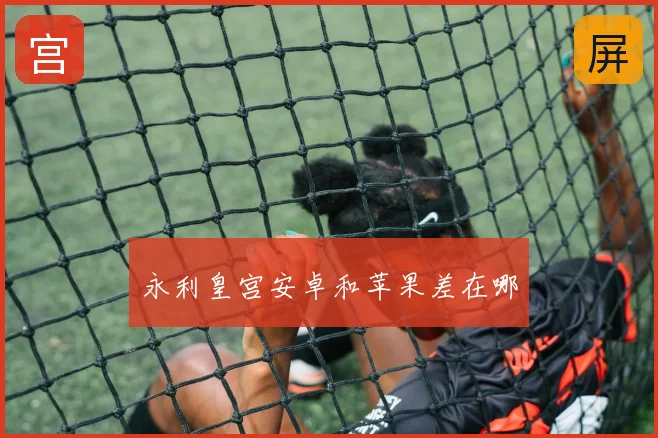 永利皇宫安卓和苹果差在哪